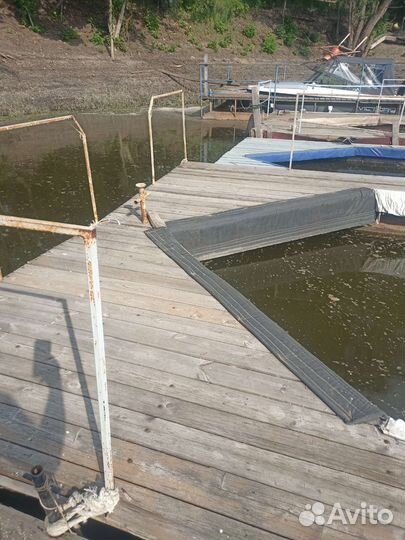 Паук -пантон