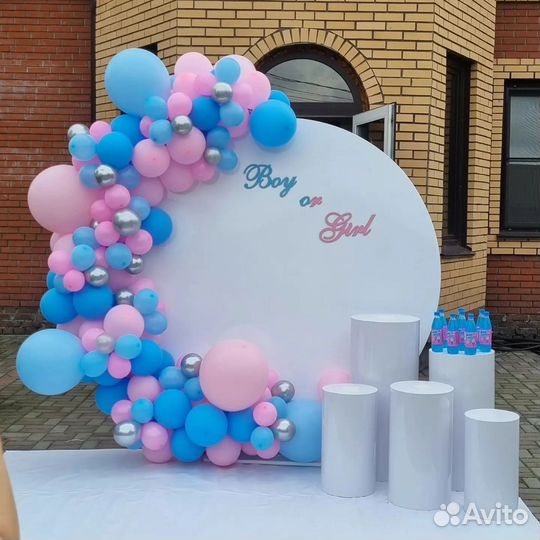 Пупсы на гендер пати 2,6 метра