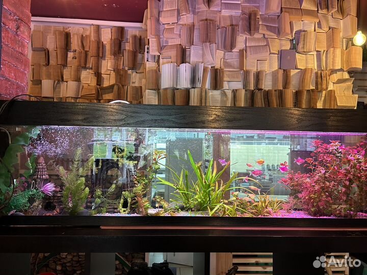 Аквариум