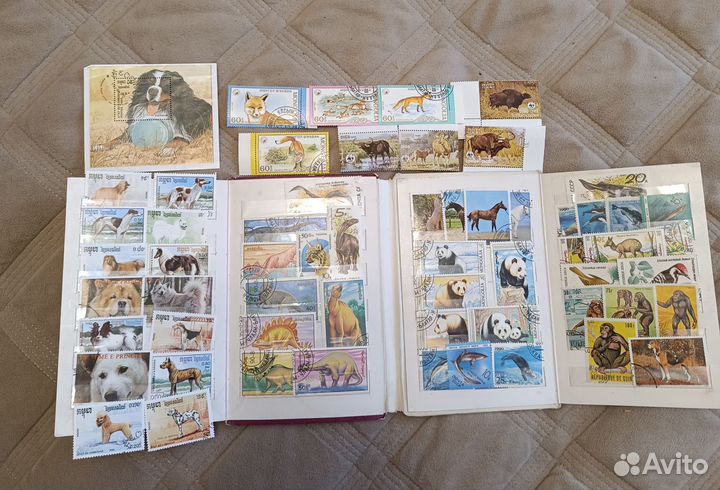Почтовые марки СССР собаки,другие животные,рыбы