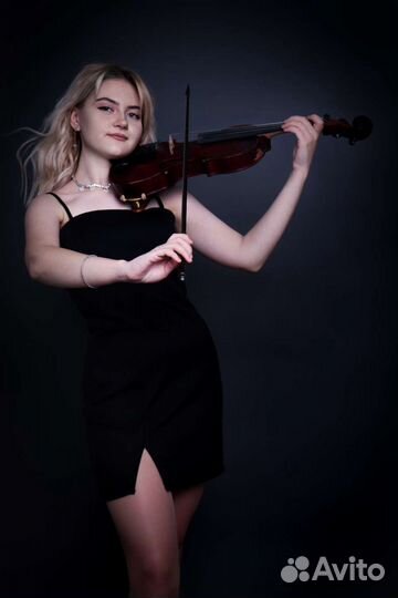 Скрипка на праздник