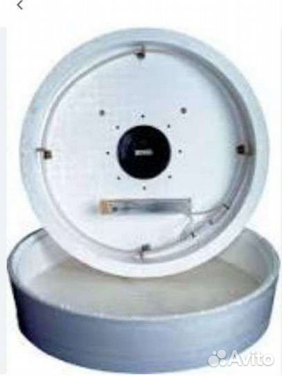 Инкубатор для яиц бу