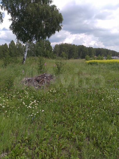 Участок 20,4 сот. (ИЖС)