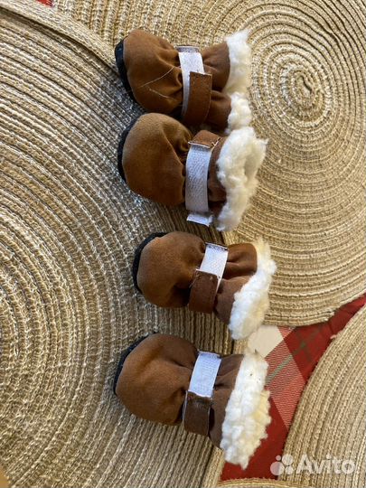 Одежда для собак