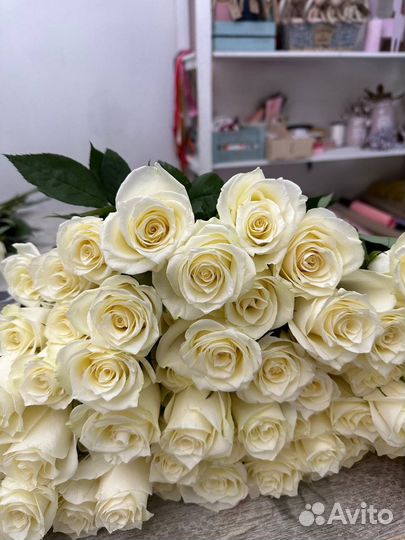 Розы Белые 60см С Доставкой