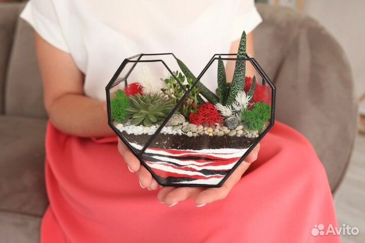 Флорариум в подарок