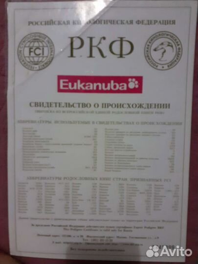 Кобель дратхаара