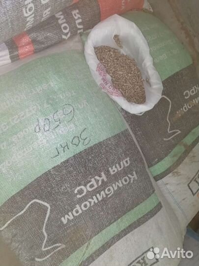 Зерно пшеница ячмень кукуруза