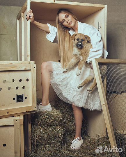 Декорации из сена, тюки из соломы для декора