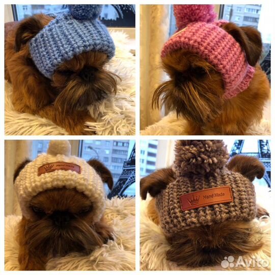 Одежда для собак