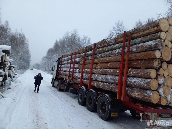 Лес кгруляк опт