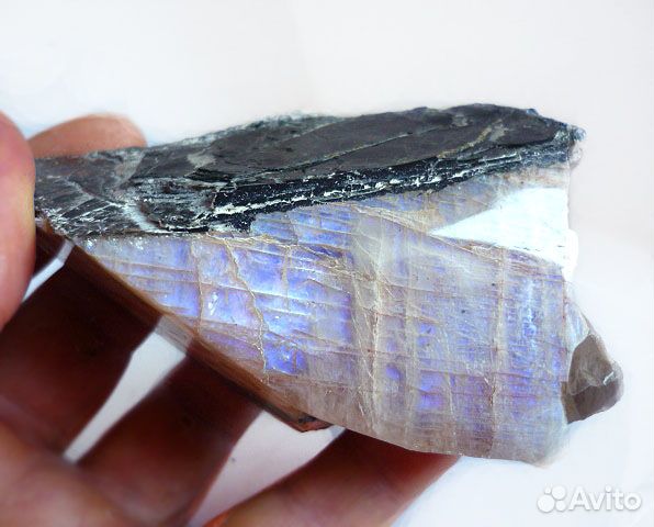 Беломорит коллекционный