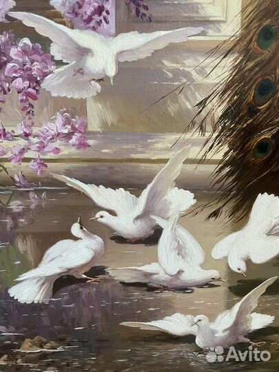 Картина маслом «Павлин и голуби»Долгополый А. А