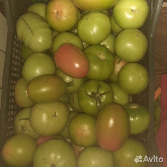 Продам помидоры, перец острый (мелкий)