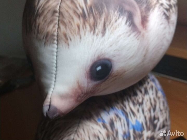 Два хренобуса братва