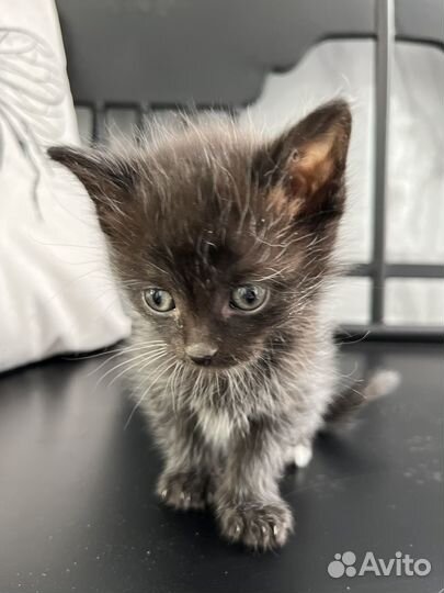 Очаровательные малыши