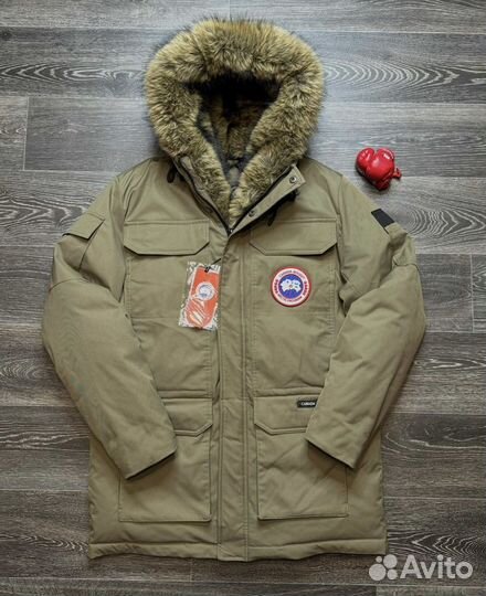 Мужская зимняя куртка canada goose