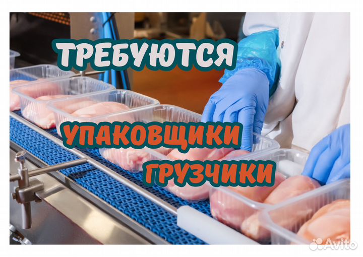 Упаковщики Грузчики Пенза Бесплатный проезд Вахта