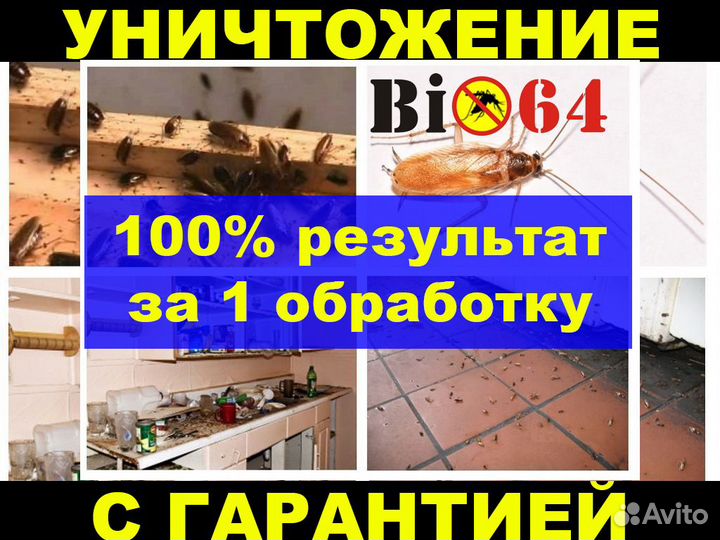 Уничтожение клопов тараканов блох ртути