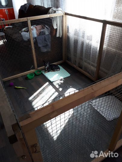 Передержка животных