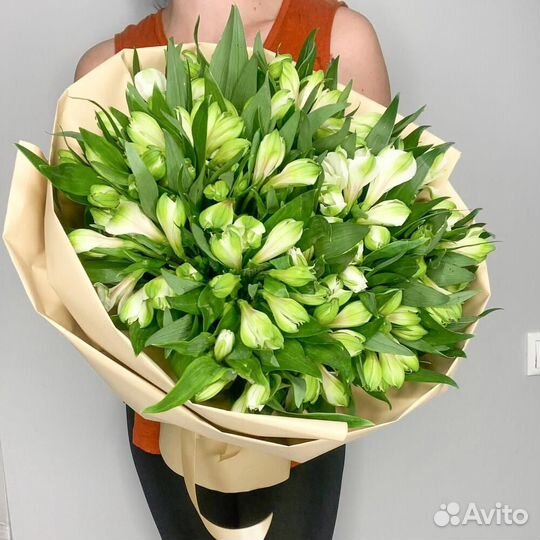 Альстромерия белая 13 шт