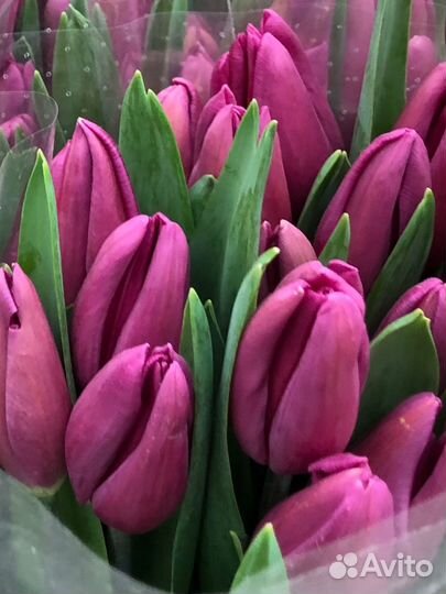 Букет тюльпанов на 8 марта