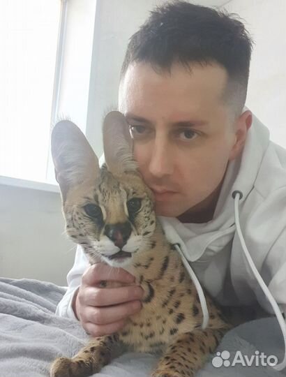 Установка Windows ремонт компьютеров и ноутбуков