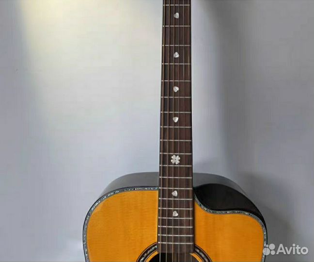 Акустическая гитара Veazen Fishman Flex