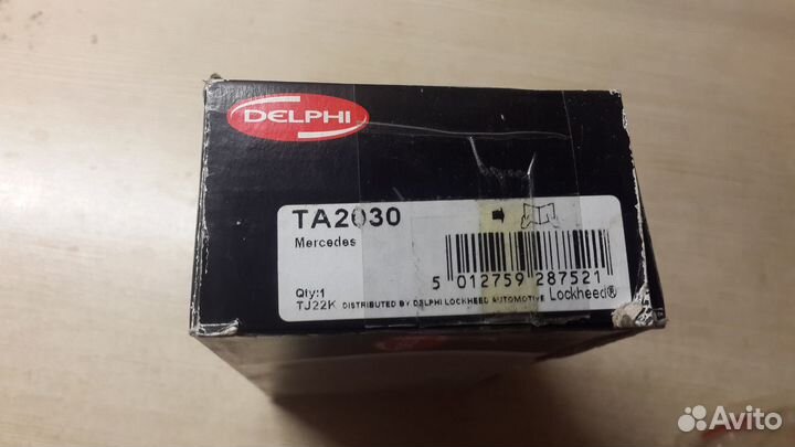 Ta 2030 delphi