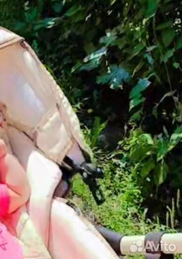 Коляска 2 в 1 Teddy