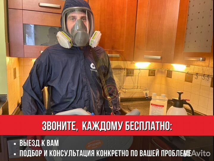 Уничтожение тараканов, уничтожение клопов