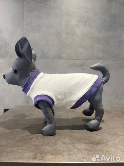 Одежда для животных