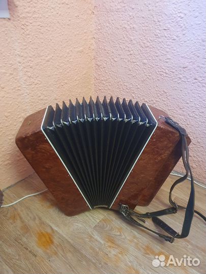 Баян Кировский 3