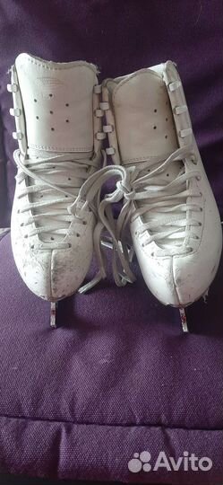 Фигурные коньки edea overture 215