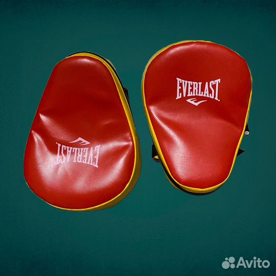 Лапа для единоборств