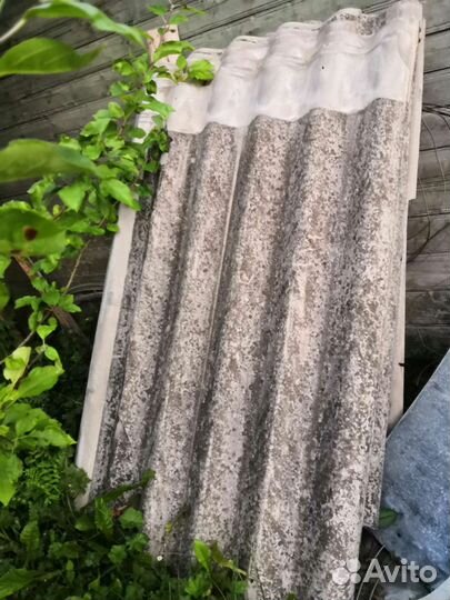 Шифер бу бесплатно