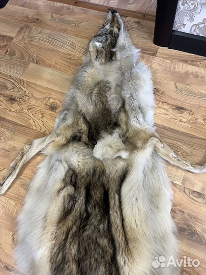 Шкура волка