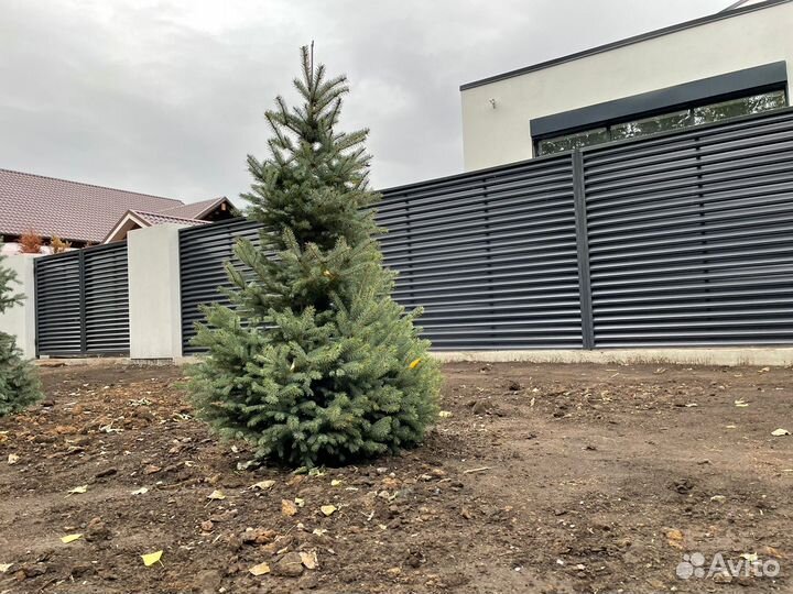 Забор-жалюзи, штакетник, металлопалнкен