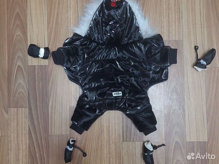 Костюм для собаки