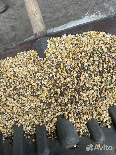 Отходы гороха