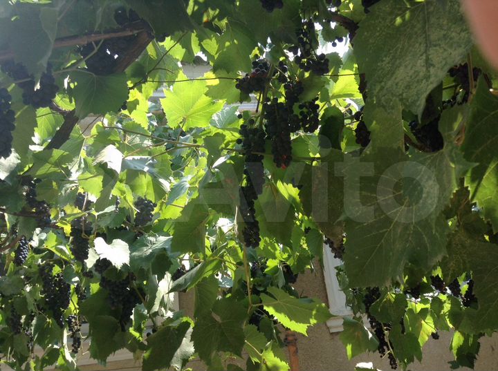 Комната 12 м² в 4-к., 1/1 эт.