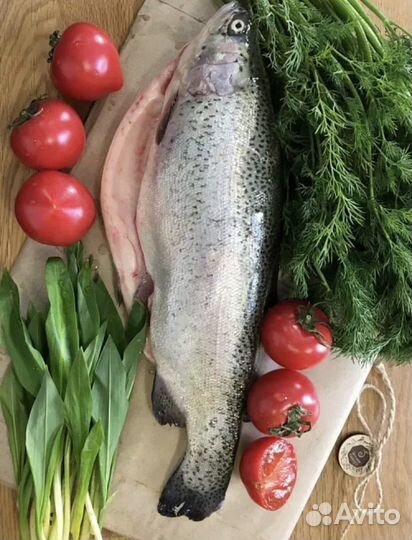 2 июня привоз Форели живой и охлаждённой