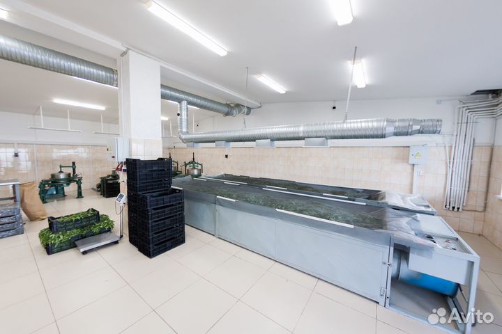 Пр-во чая, цукатов, варения и т.п