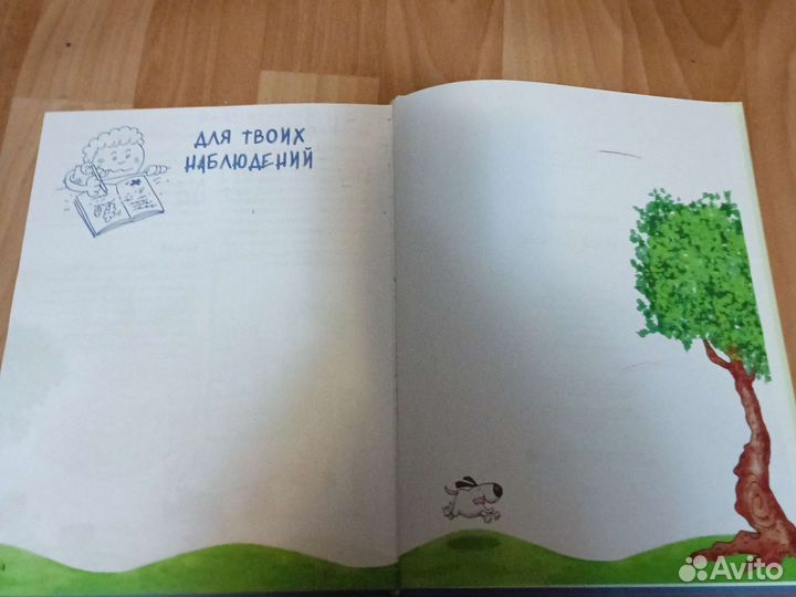 Научная книга