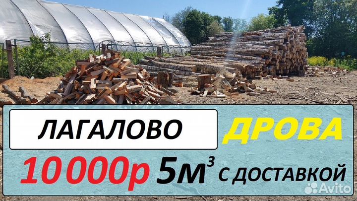 Дрова береза