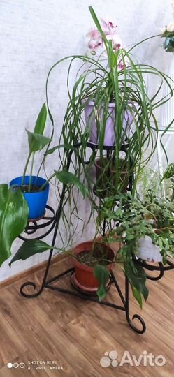 Подставки под цветы напольные навесные