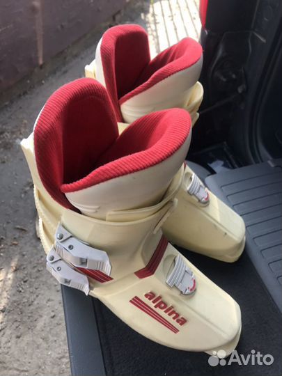 Горнолыжные ботинки