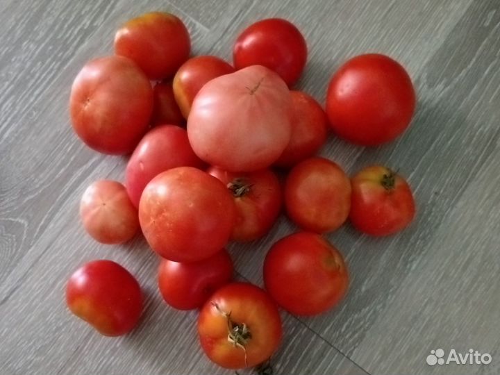 Помидоры свежие домашние