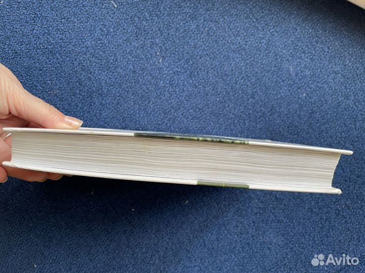 Книга Евгений Водолазгин Лавр