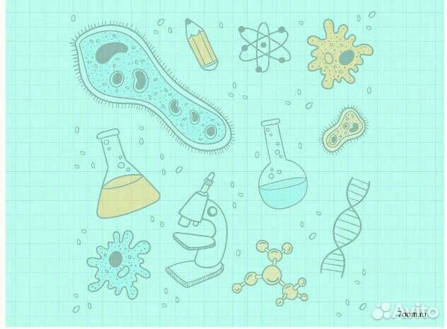 Репетитор по биологии